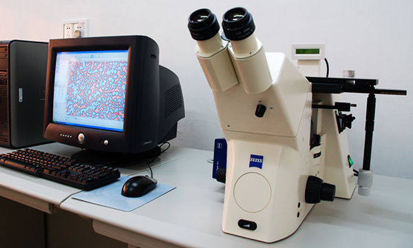 PʽֹyֹPg- ϺyT(mn)